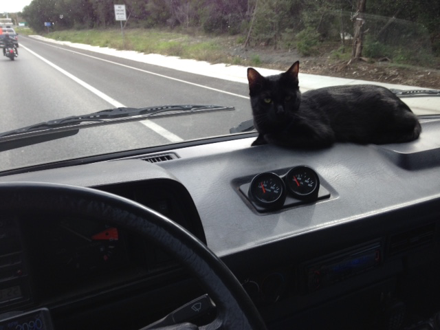 Image may have been reduced in size. Click image to view fullscreen.